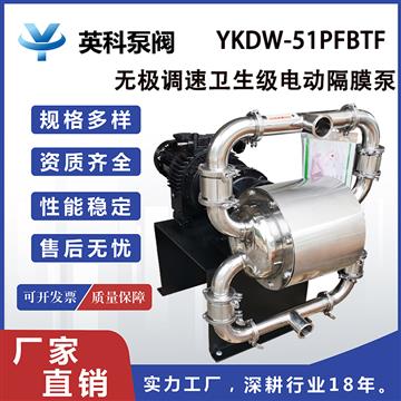 衛(wèi)生級(jí)電動(dòng)雙隔膜泵